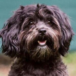 Profile photo of Nickolinchen